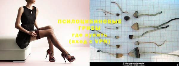 винт Козловка