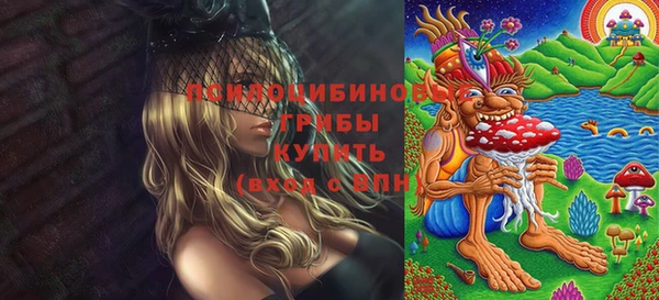 твердый Братск
