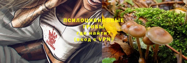 винт Козловка