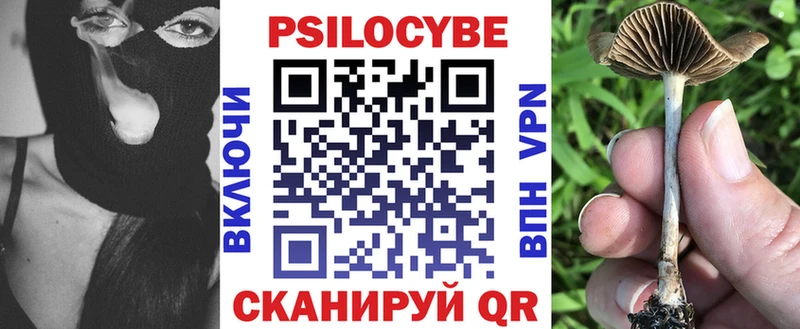 цена наркотик  Луза  Псилоцибиновые грибы мухоморы 